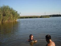 Cupa City Center-2010